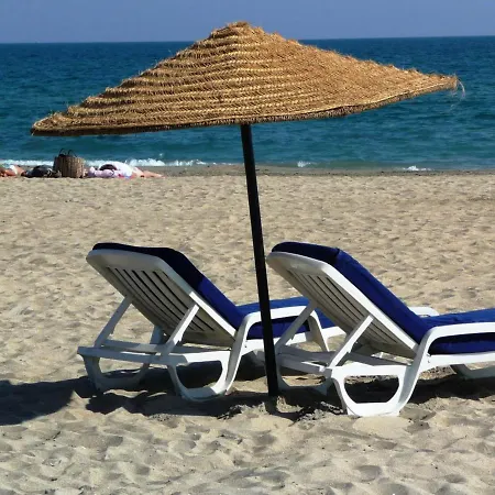 Avec Acces Direct Piscine Et Mer, Parking Prive, Terrasse - Fr-1-472a-154