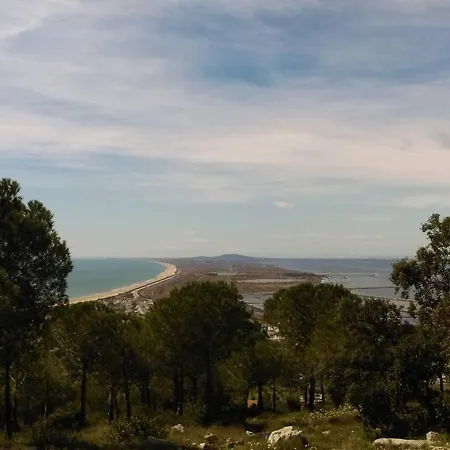 Avec Acces Direct Piscine Et Mer, Parking Prive, Terrasse - Fr-1-472a-154 アパート